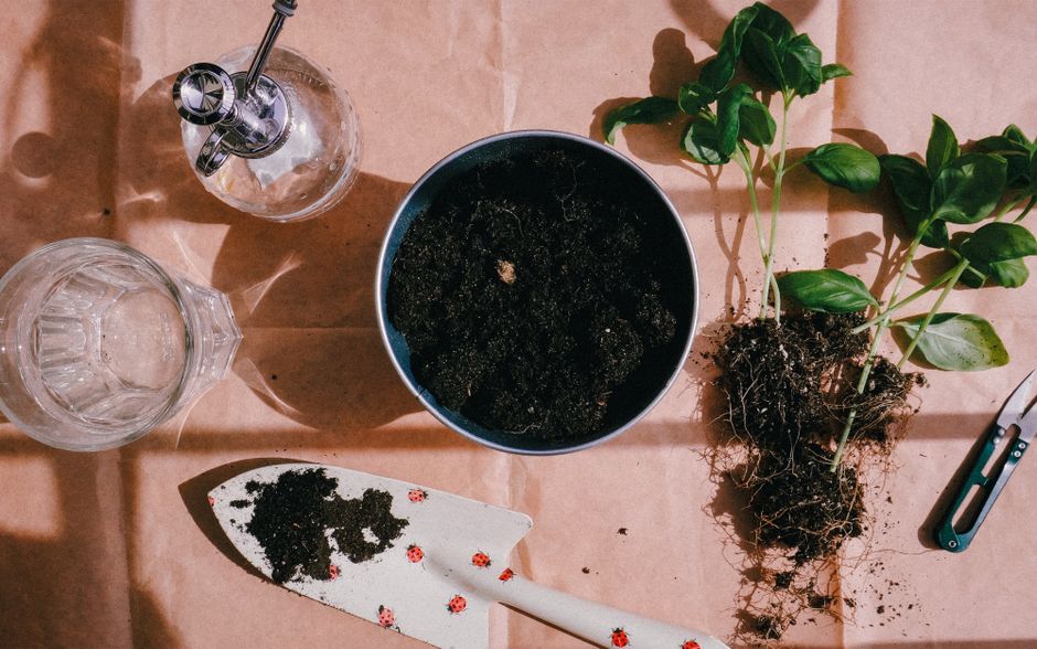Flat lay of gardening tools, soil, and seedlings ready for planting.