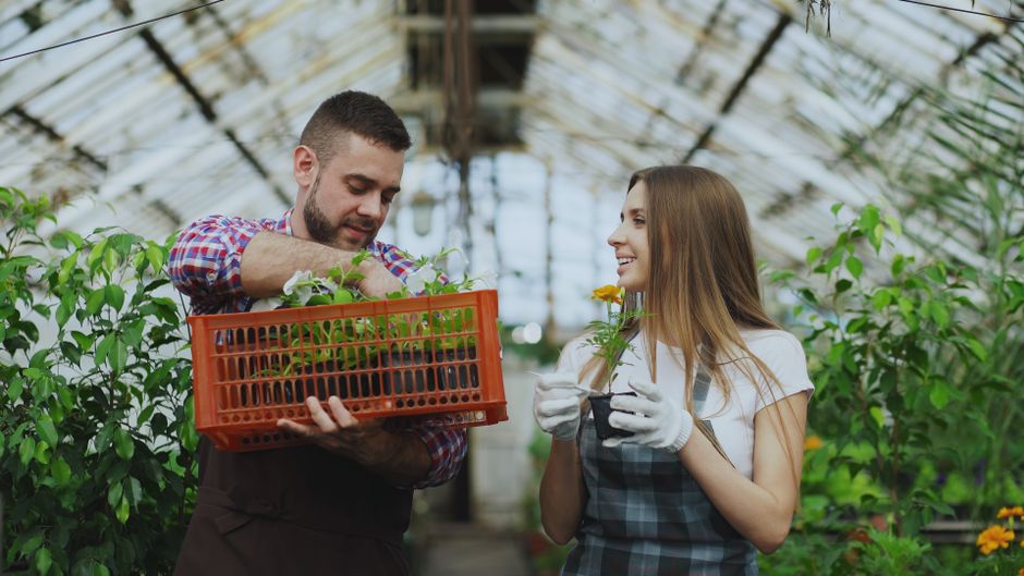 Two young adults tending to plants in a greenhouse, showcasing teamwork and gardening skills.