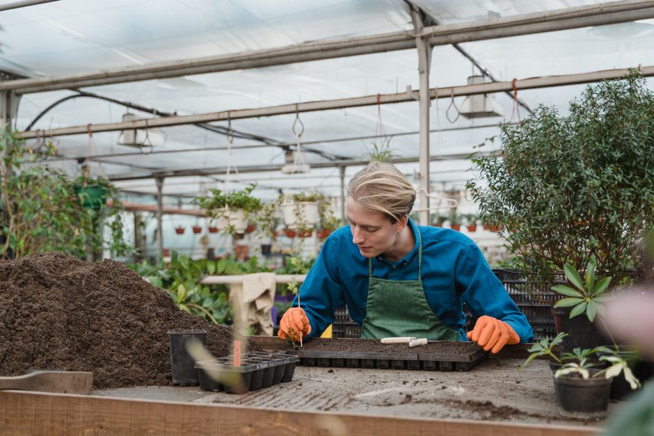 A young gardener in a greenhouse carefully plants seeds in a tray, surrounded by lush greenery.